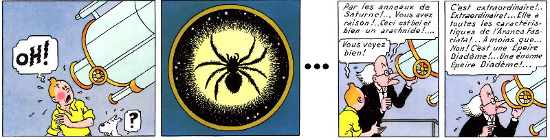 epeire - tintin.jpg