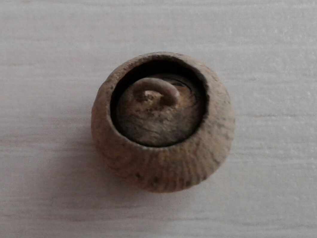 bouton branlant revers.jpg