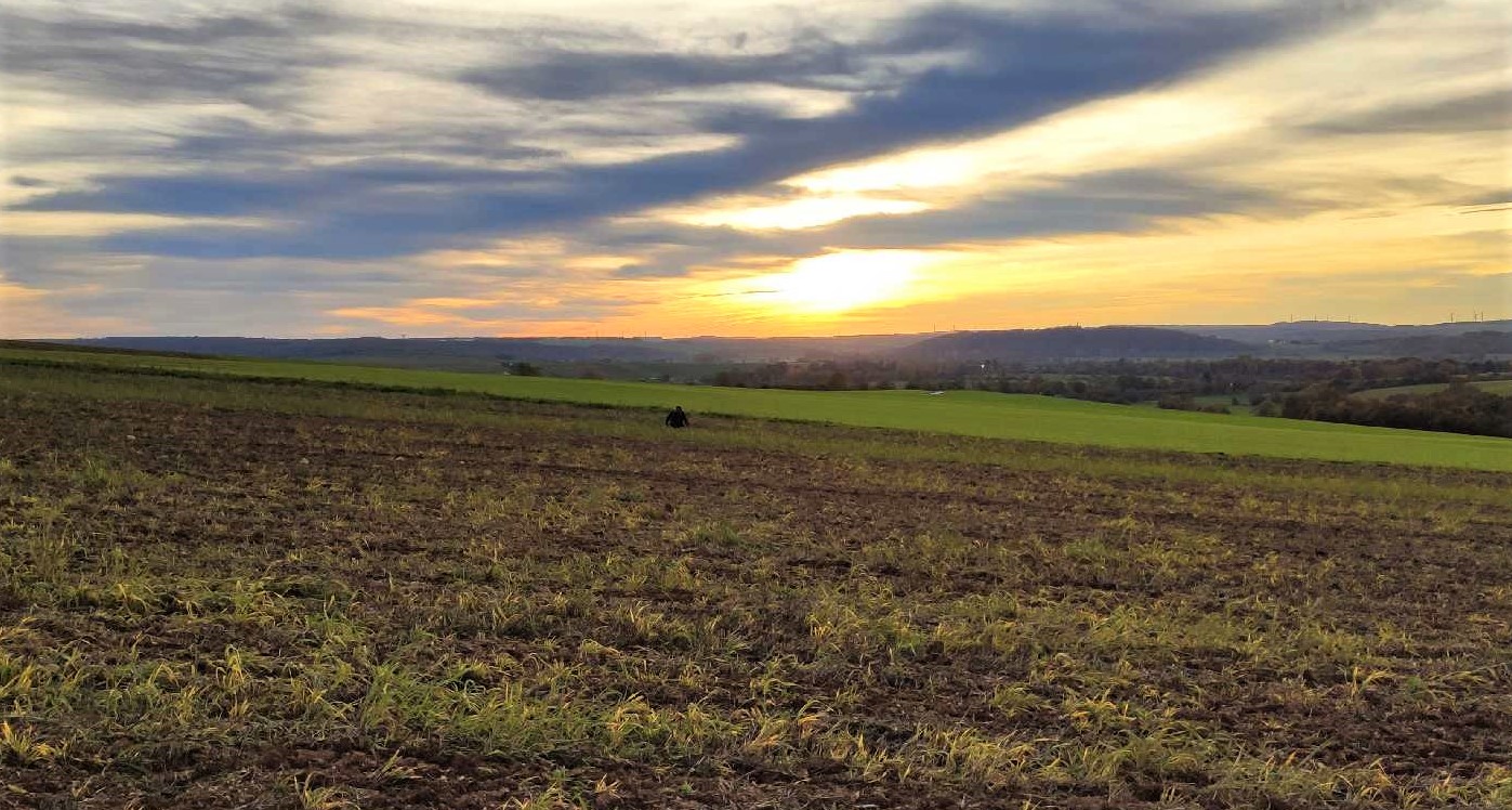 Coucher de soleil.jpg