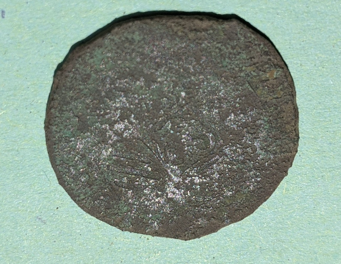 A ID.jpg