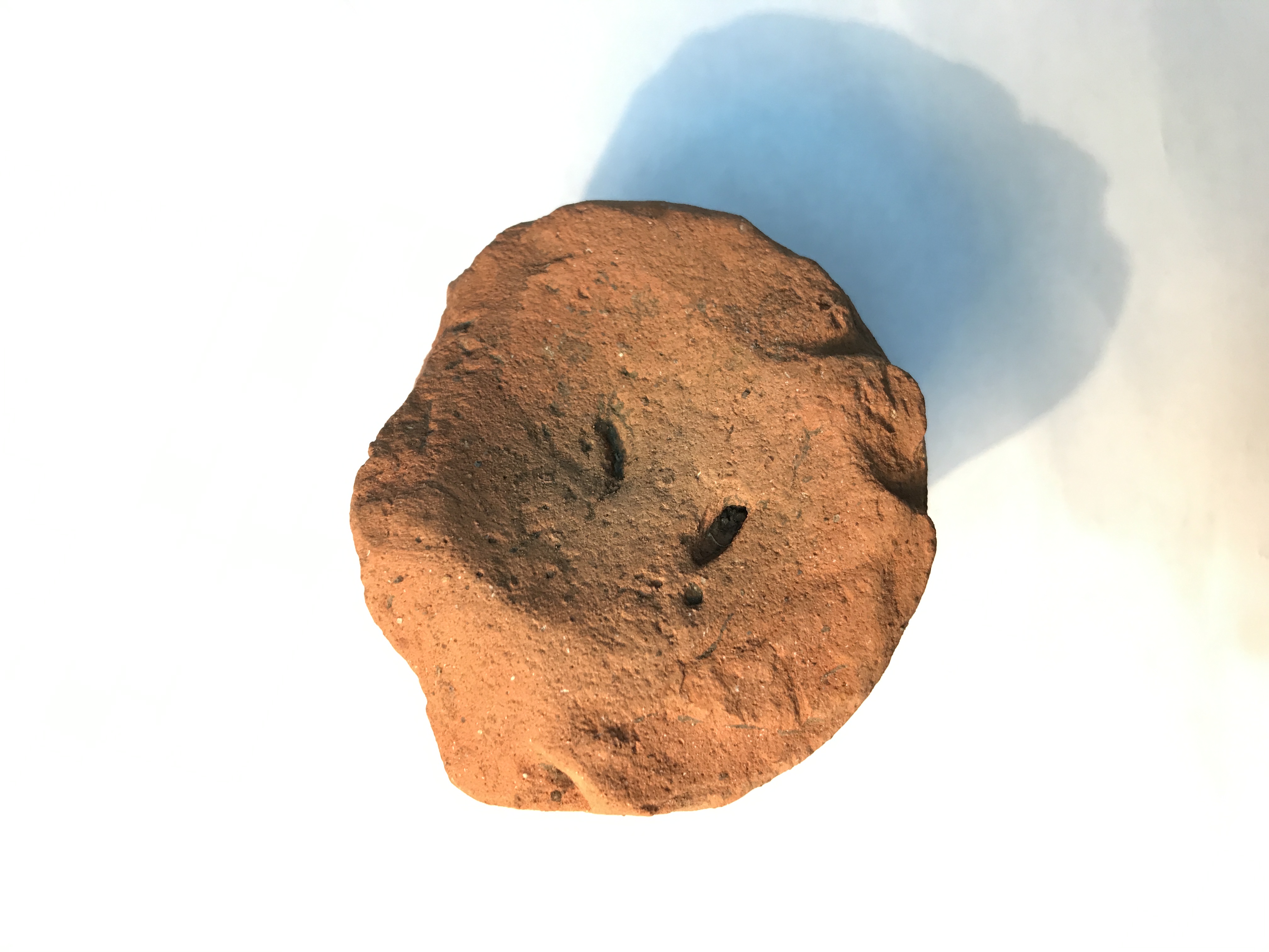 image.jpg