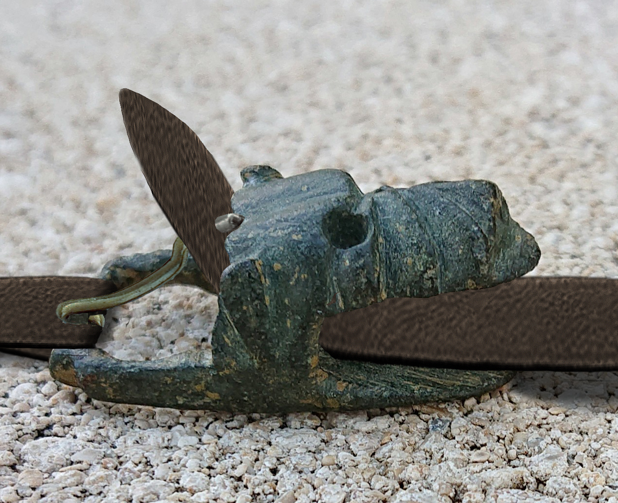 _20201031_191912 bis.jpg