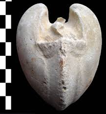 téléchargement (1).jpeg