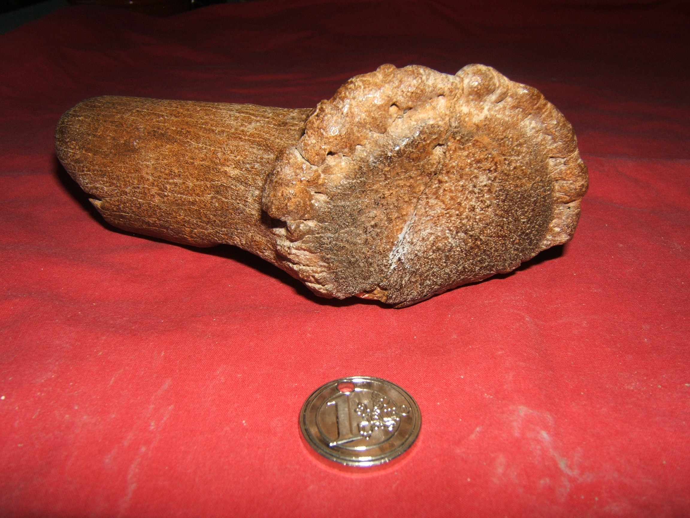 DSCF2464.JPG