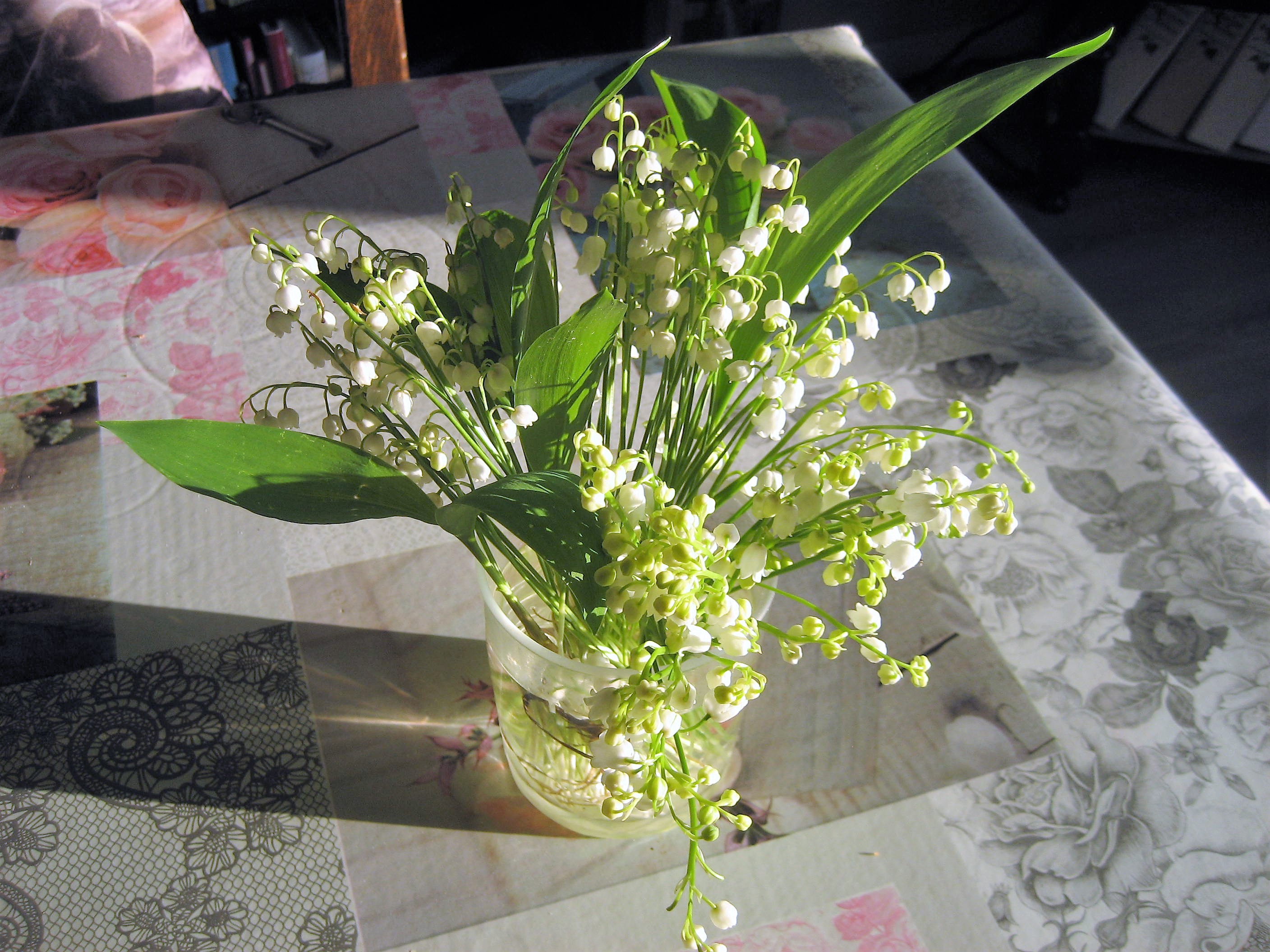 muguet 03-4.JPG