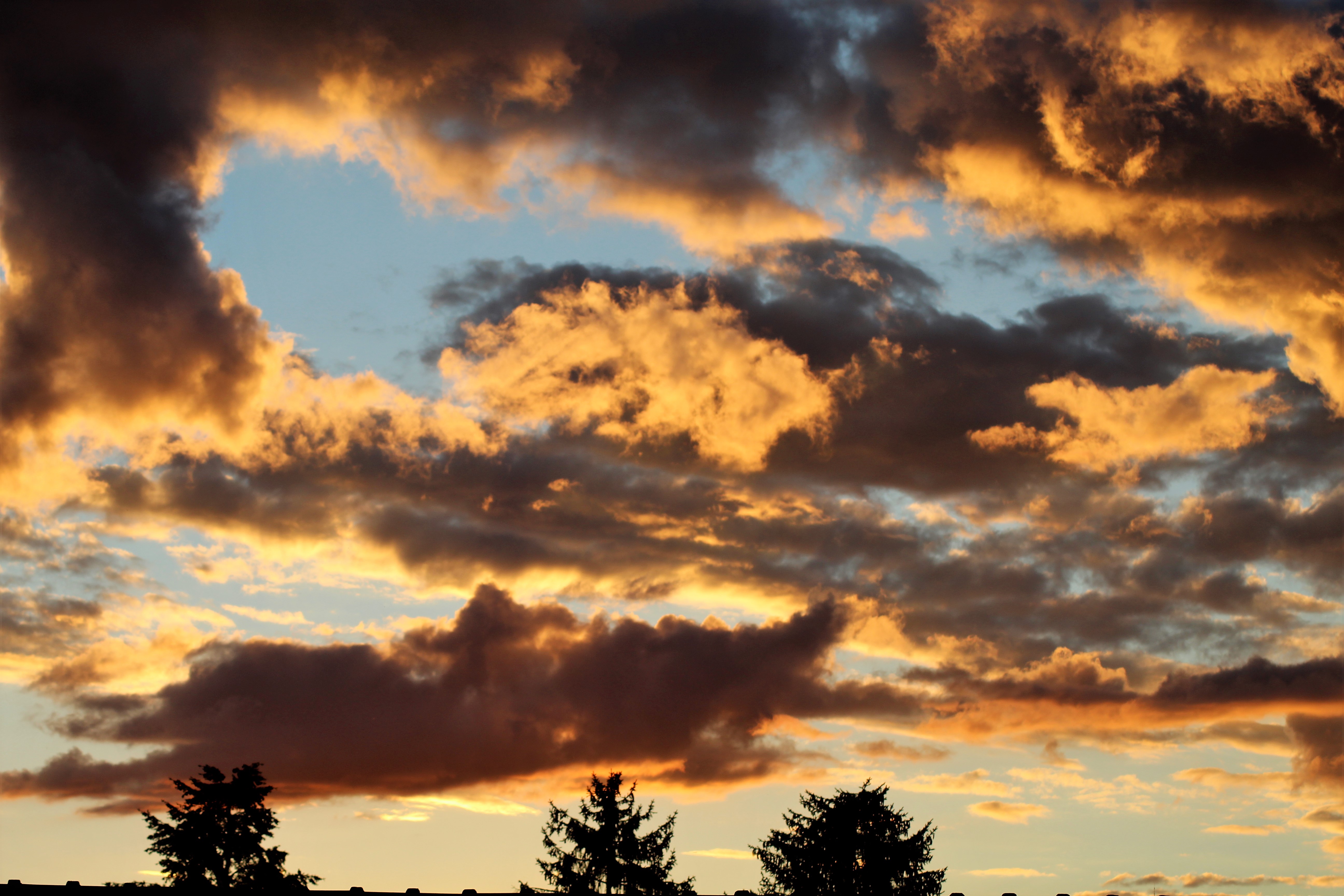 8-2020 St Pourçain sur Sioule 03(2).JPG