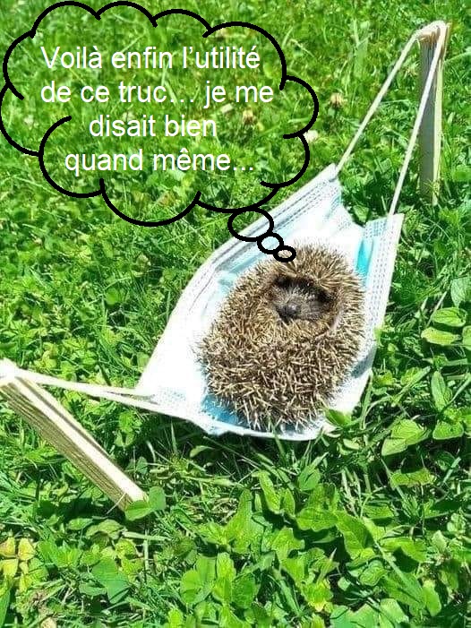 Masque à rat.jpg