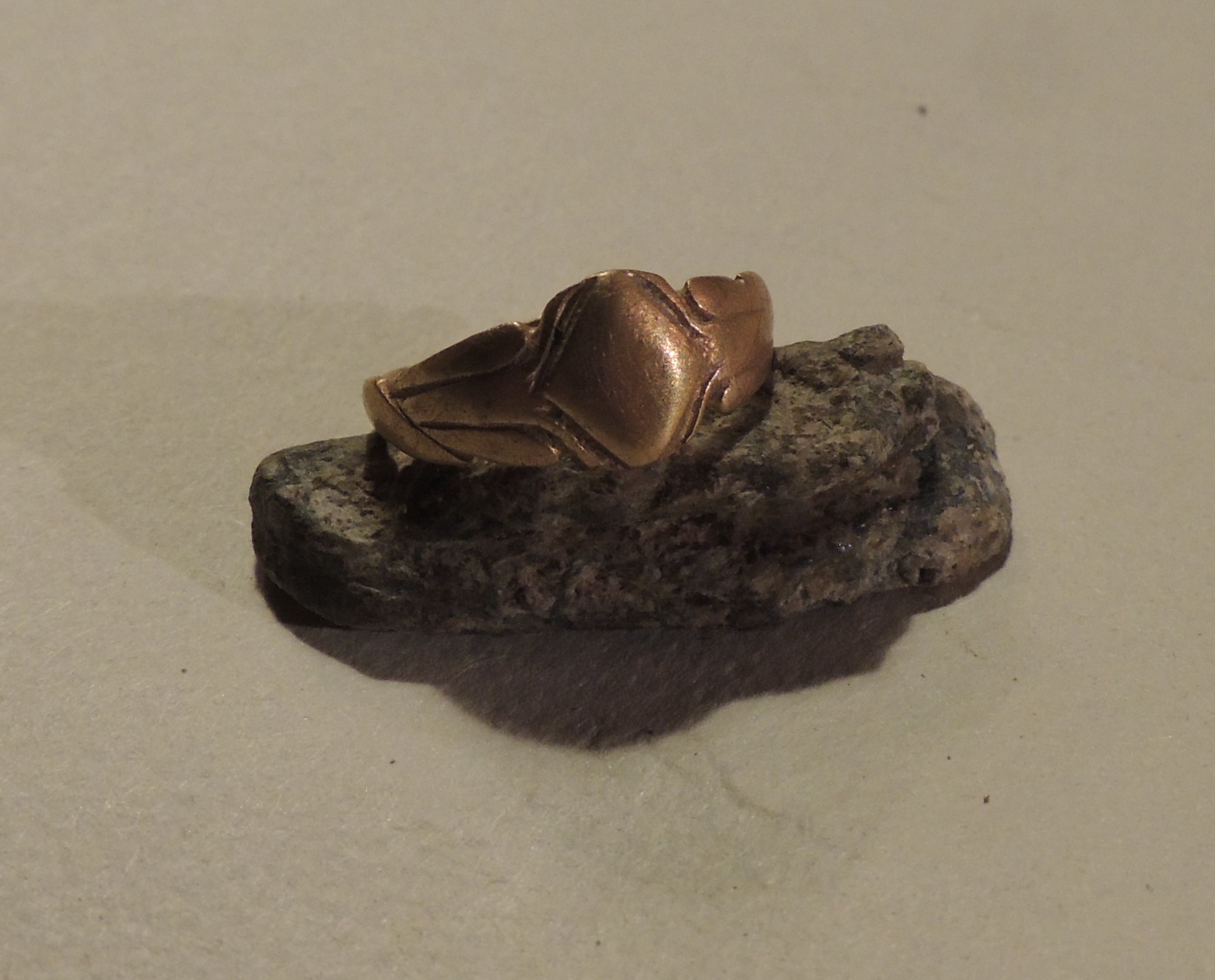 DSCN3305.JPG