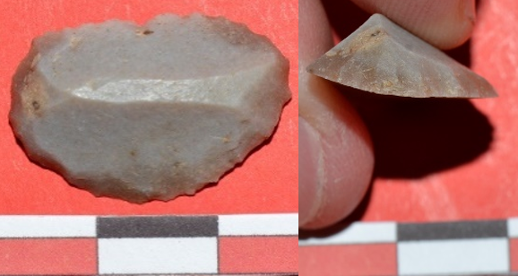 grattoir méso 1.PNG