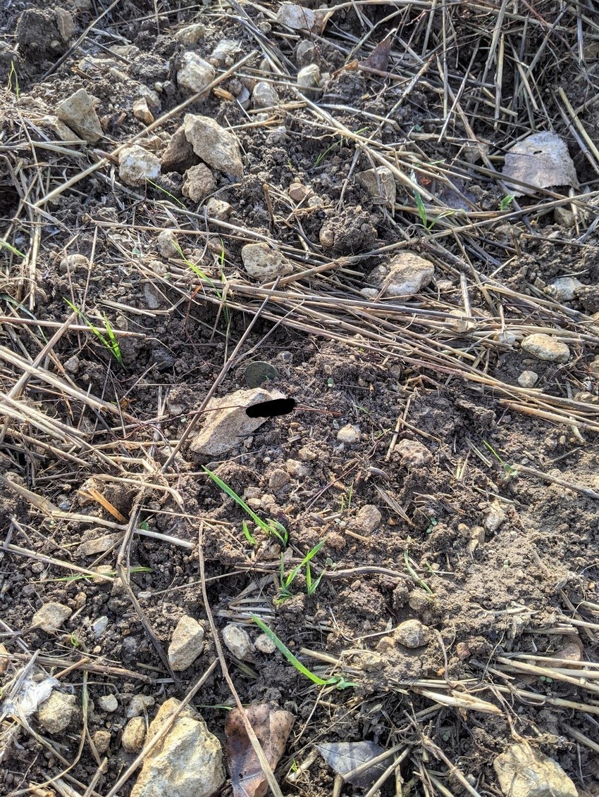 INSU 261121.jpg