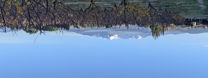COLLIOURE.jpg