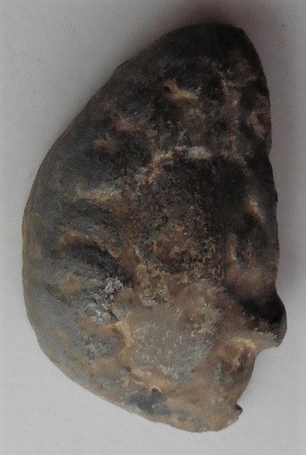D6.jpg