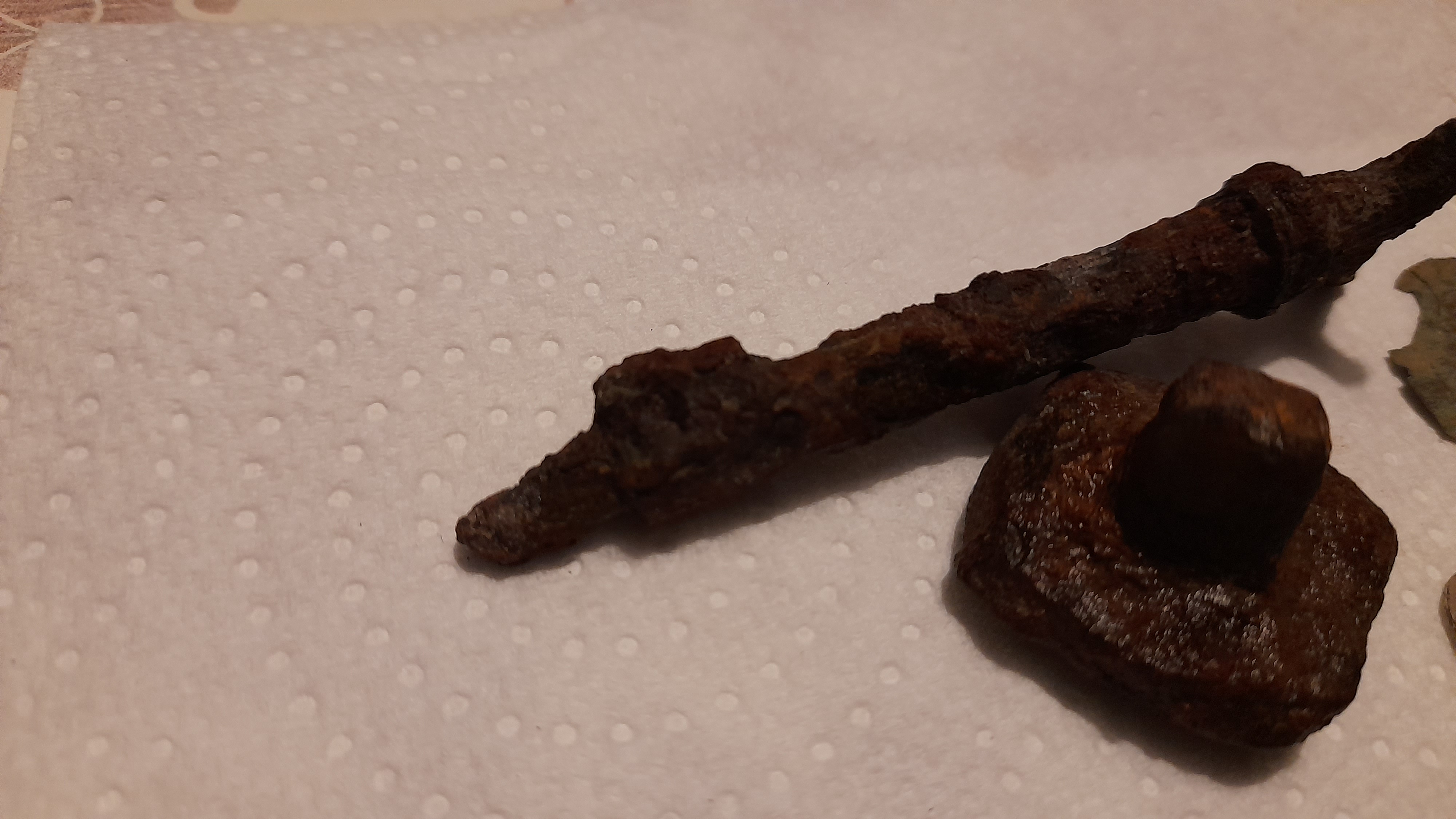 20220123_183854.jpg