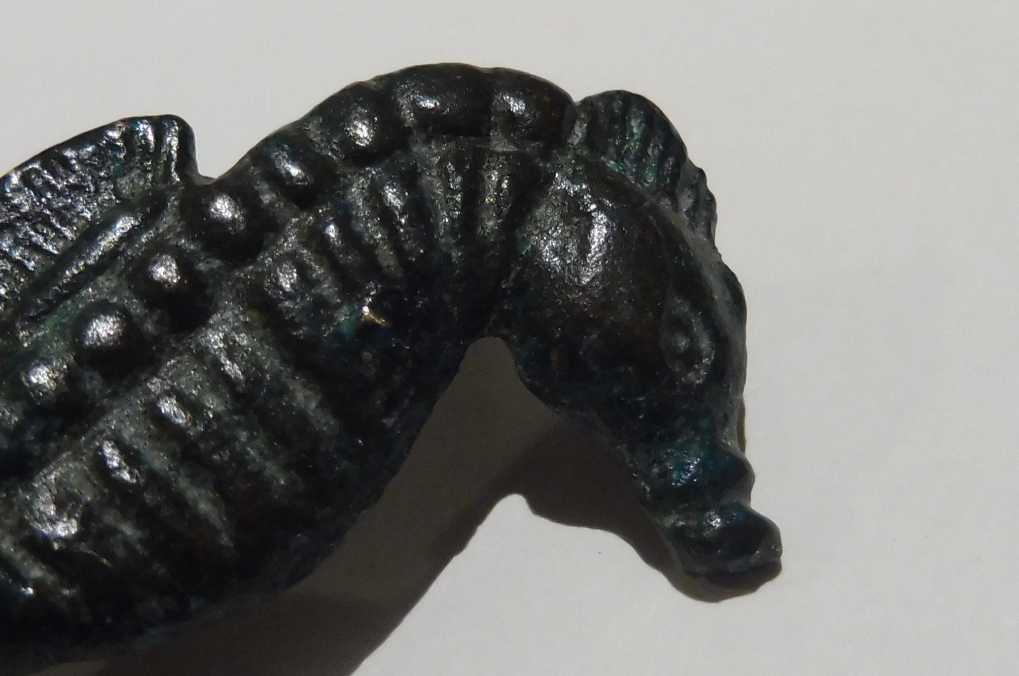 P1020330.JPG