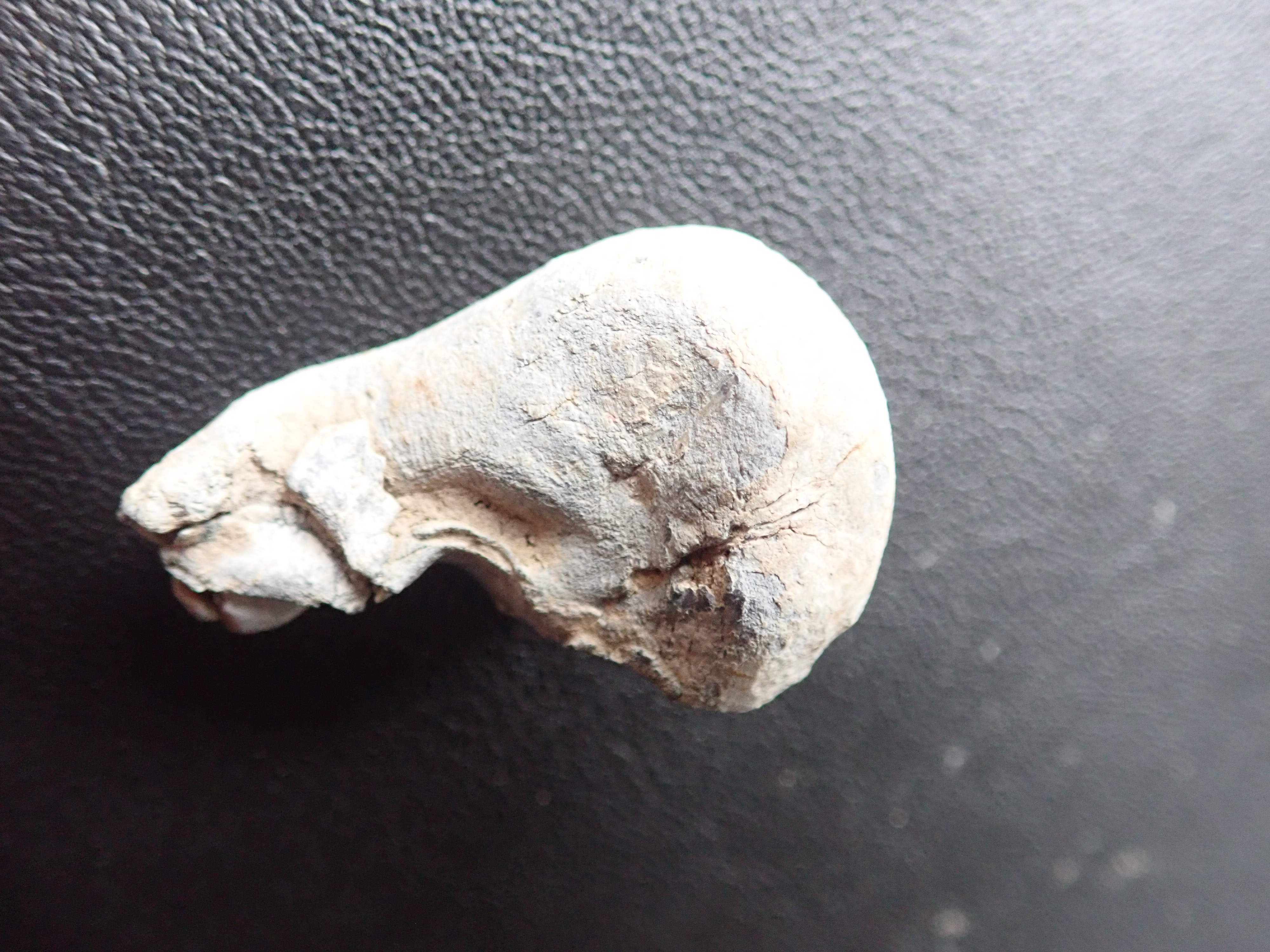 P4252643.JPG