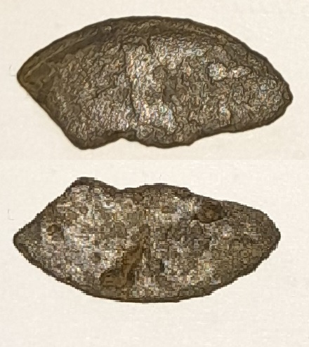 Fragment de médaille ou de monnaie en bronze.jpg