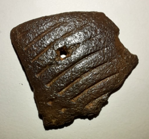 Fragment de fer à godillot.jpg