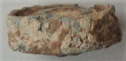 DSC05404 (2).JPG