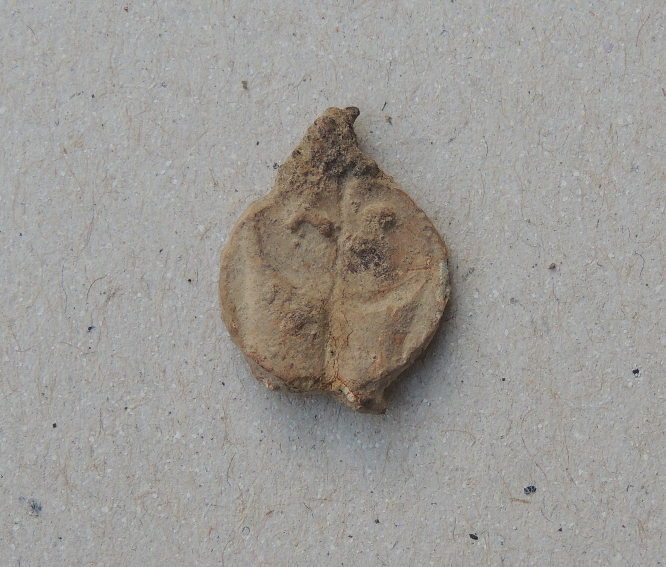 DSCN3461.JPG