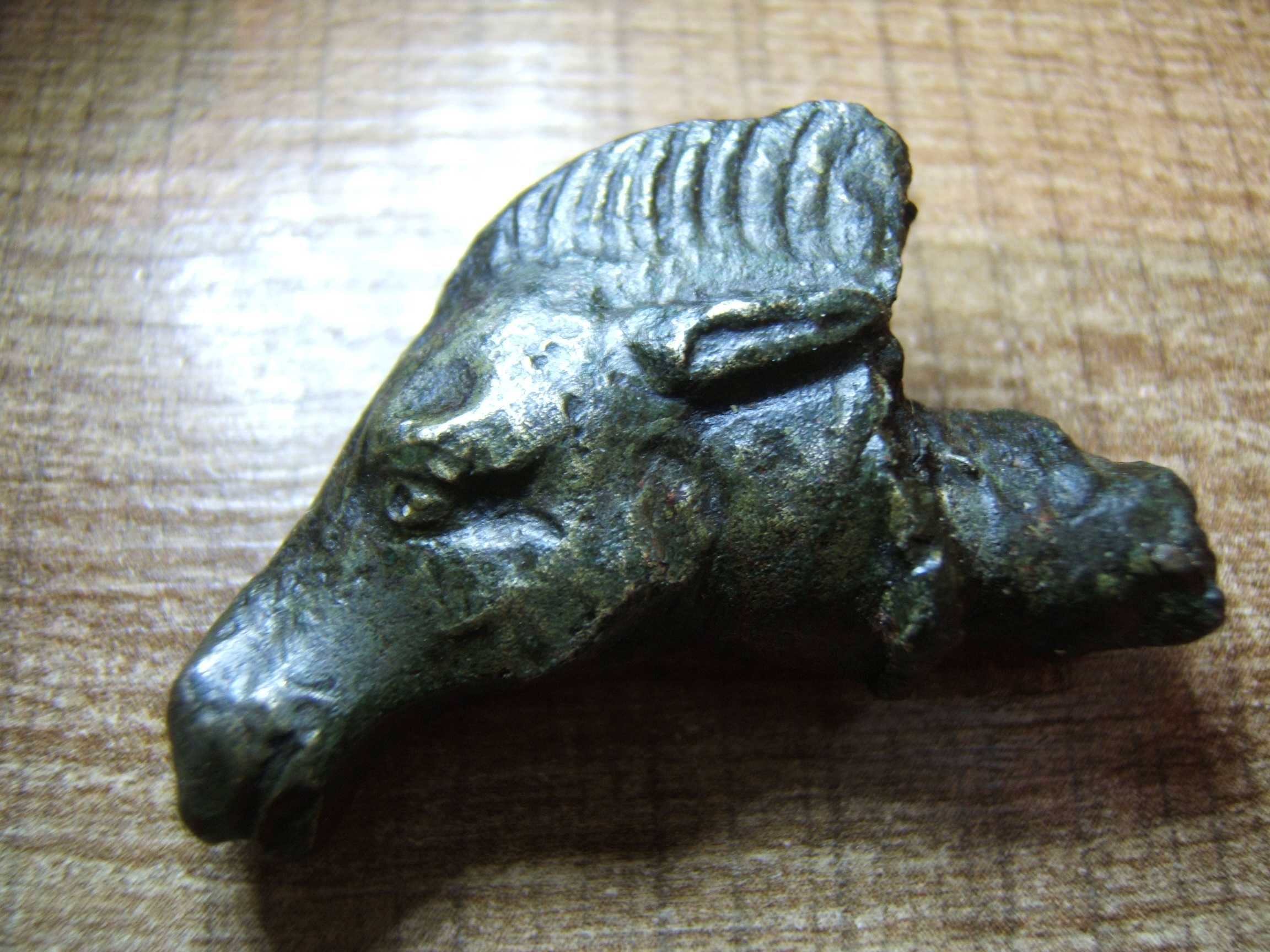 DSCF2892.JPG