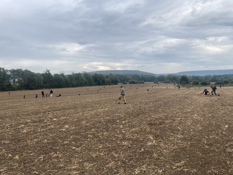 Champ Samedi matin.jpg