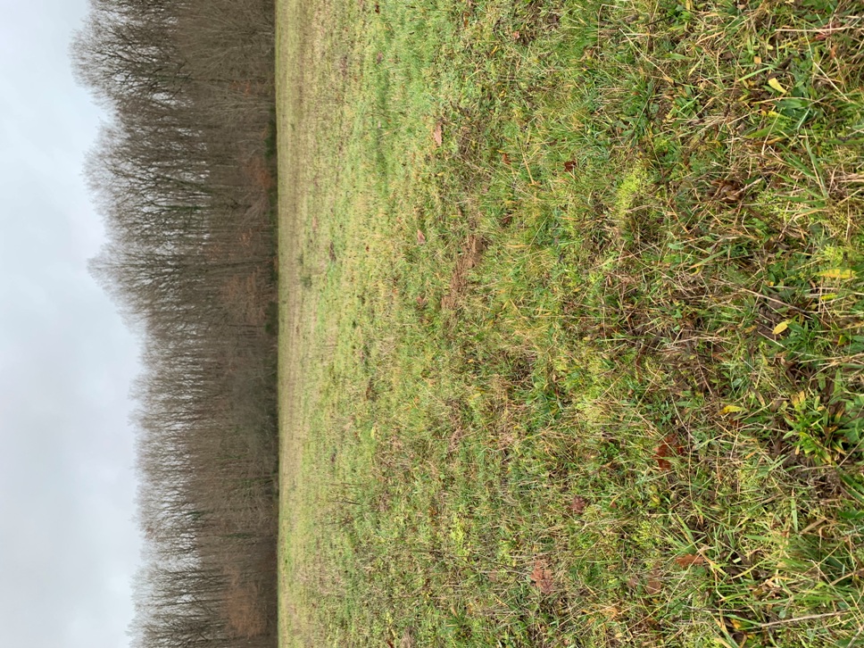 photo_3.jpeg