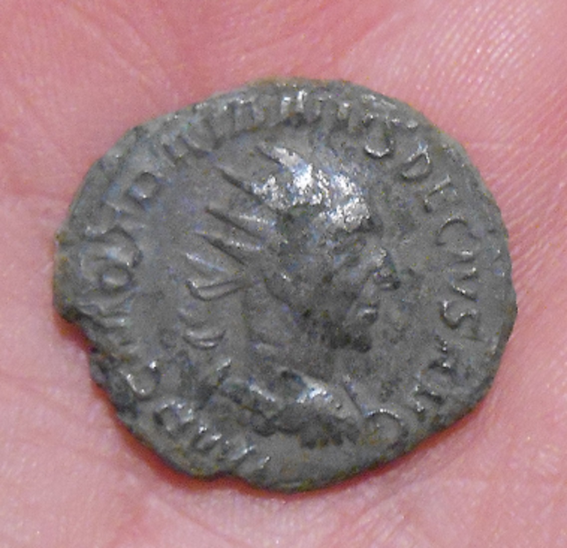DSCN6292.JPG