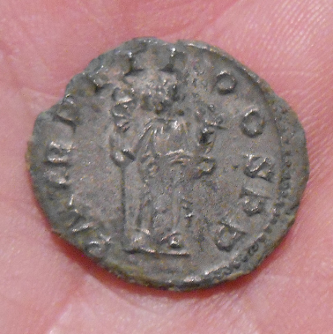 DSCN6293.JPG
