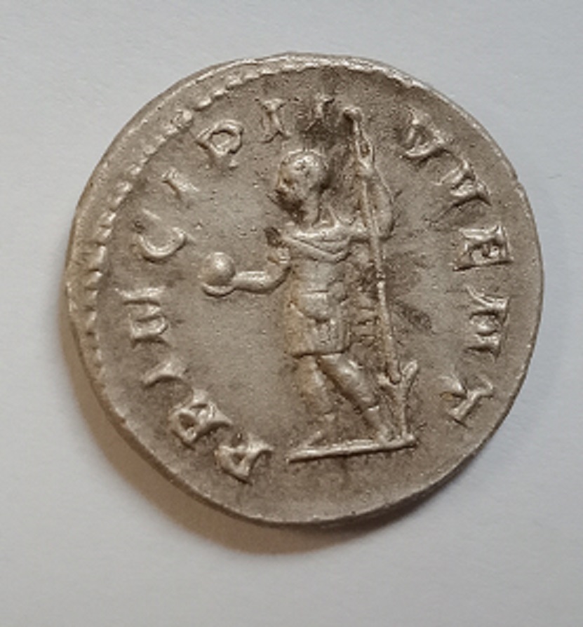 17b.jpg