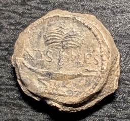 PXL_20250307_172223182.jpg