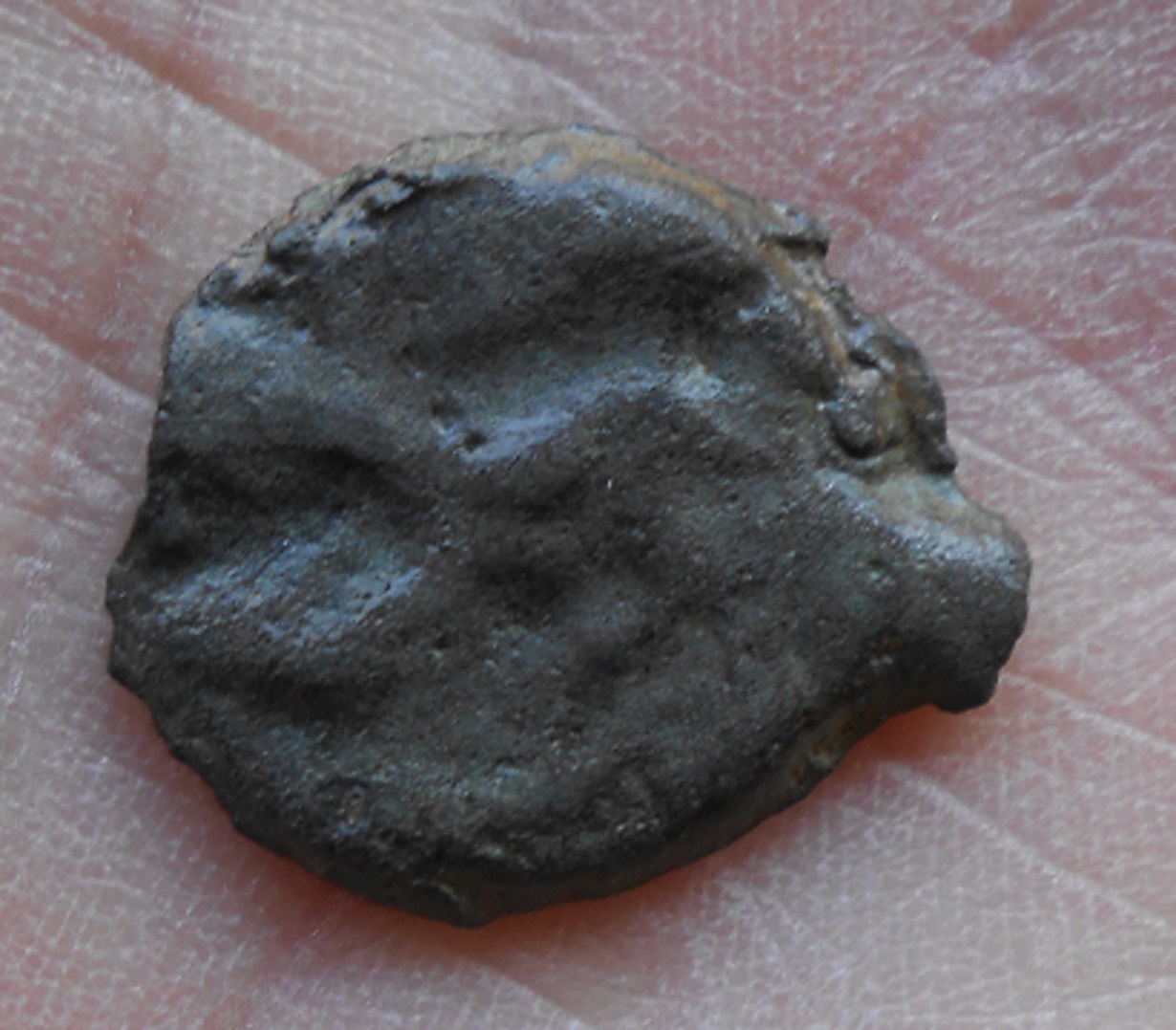 DSCN5442.JPG