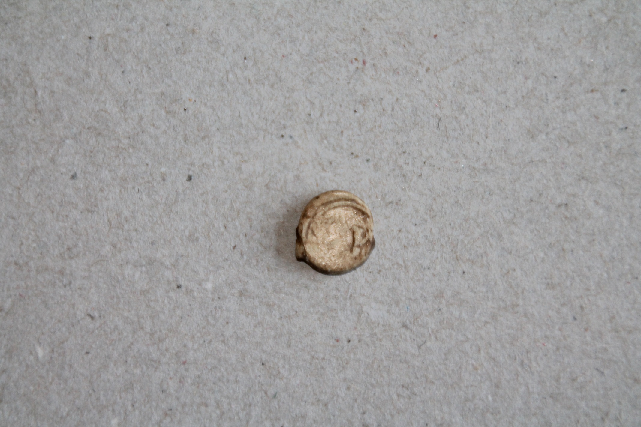 IMG_7175a.jpg