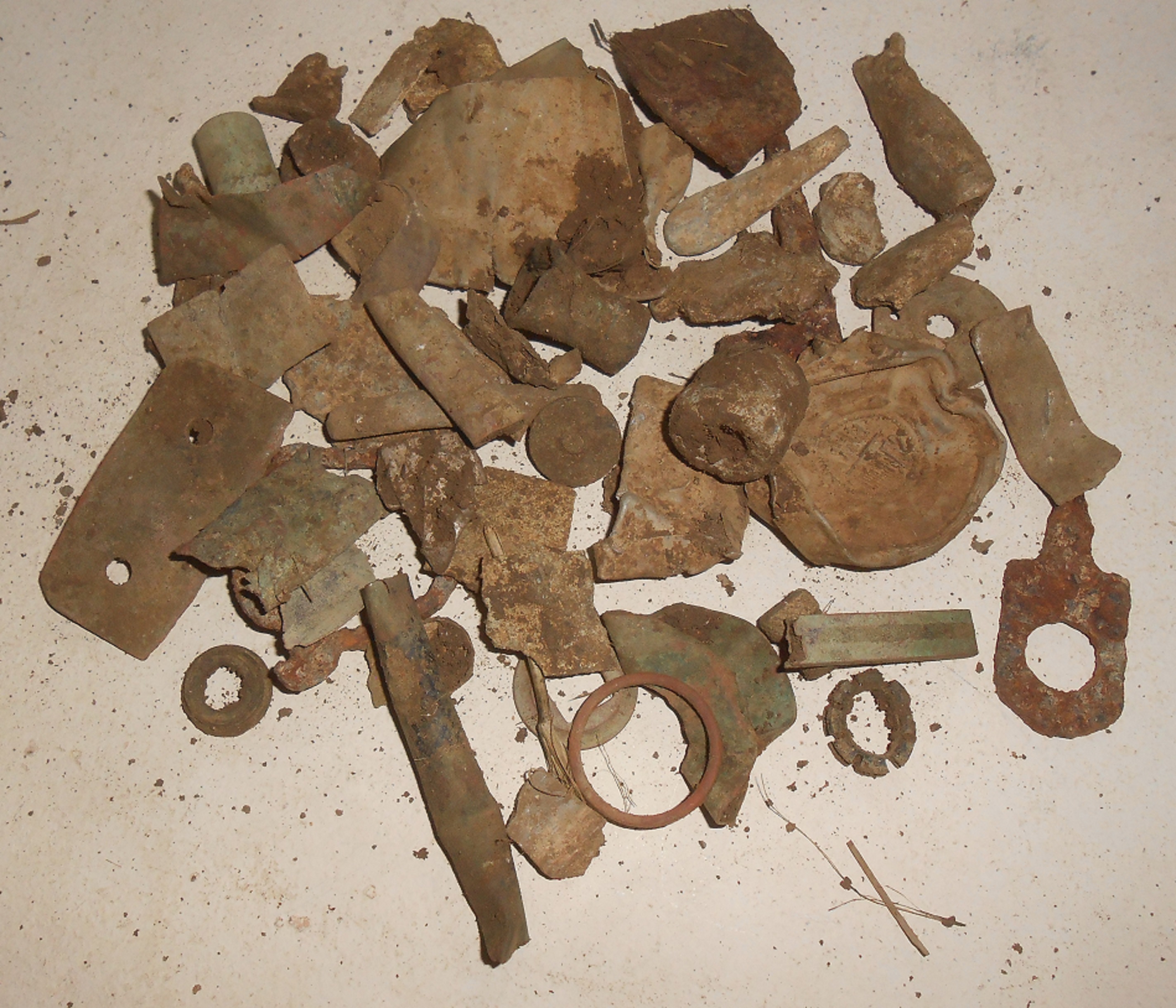 DSCN5608.JPG