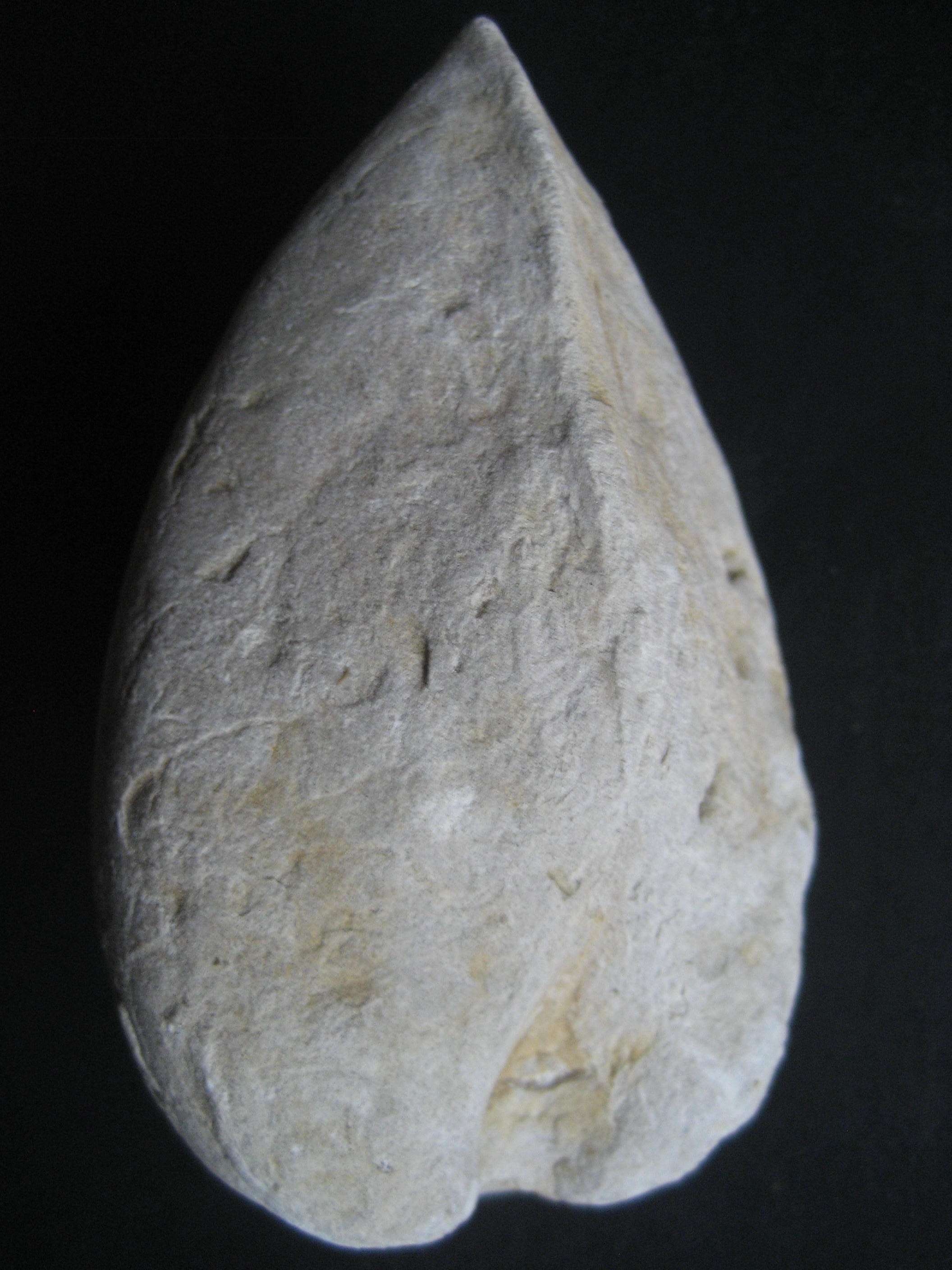 Cucullaea(Idonearca)Tailleburgensis Secondaire Cenomanien a Turonien Canjuers(83)Var 100-65MA.JPG