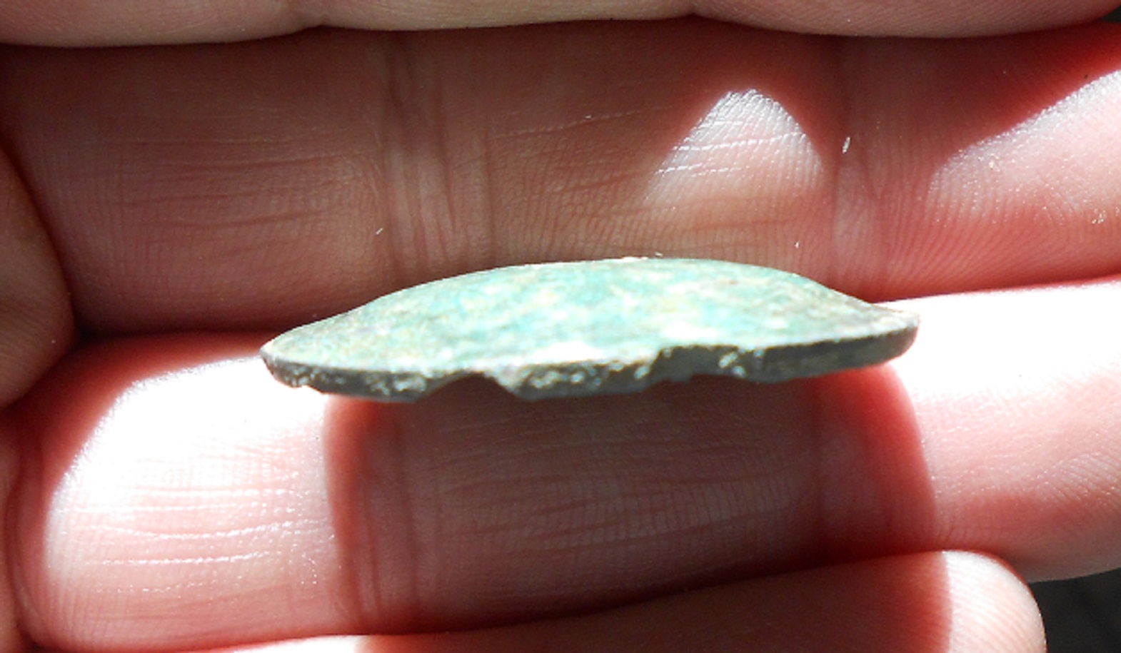 DSCN5780.JPG