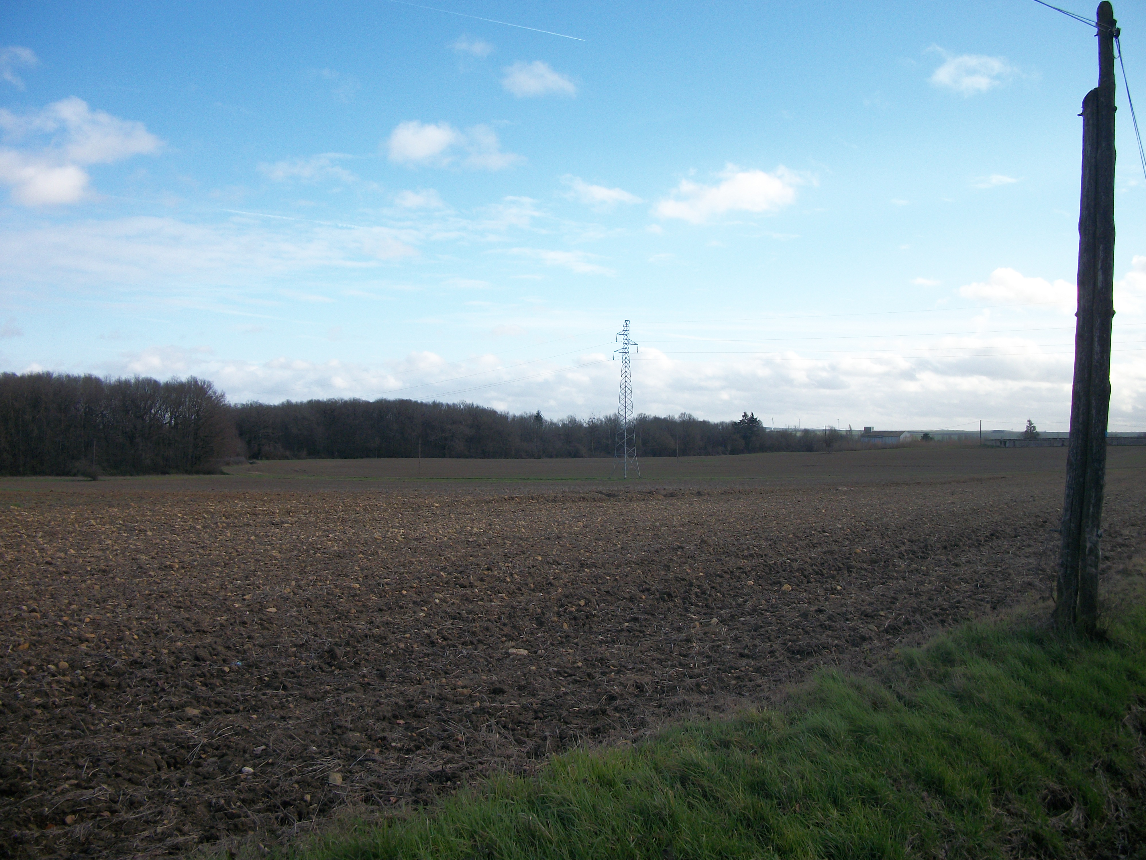Des champs