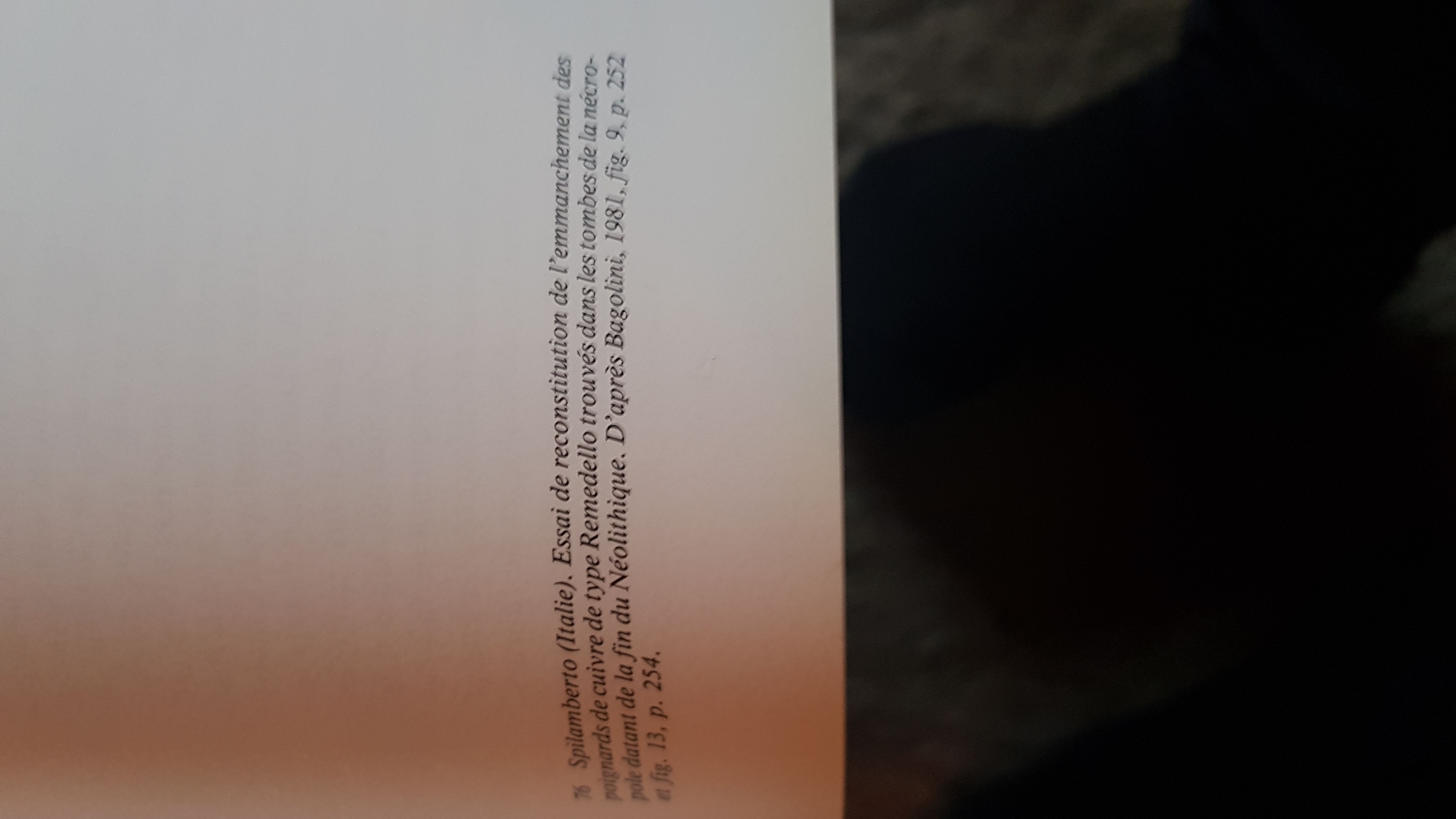 IMG-20190924-WA0007.jpeg