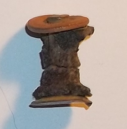 Rivet de bourrelerie avec reste de cuir.jpg