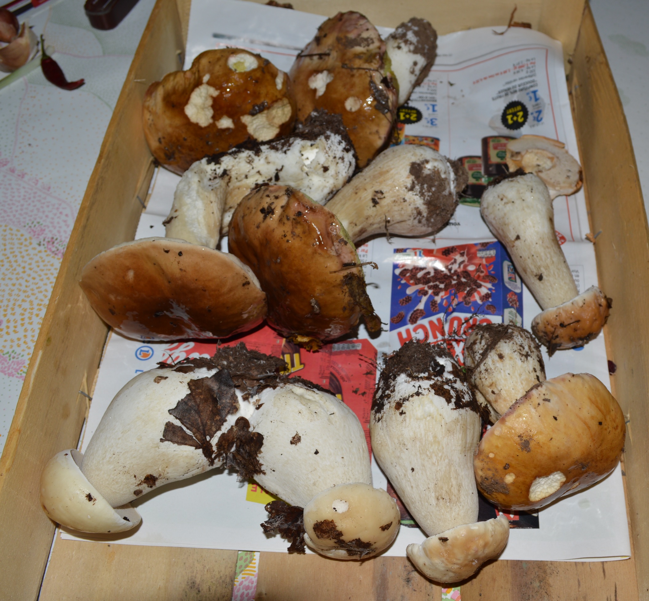 ma sortie du 20 10 2020.JPG