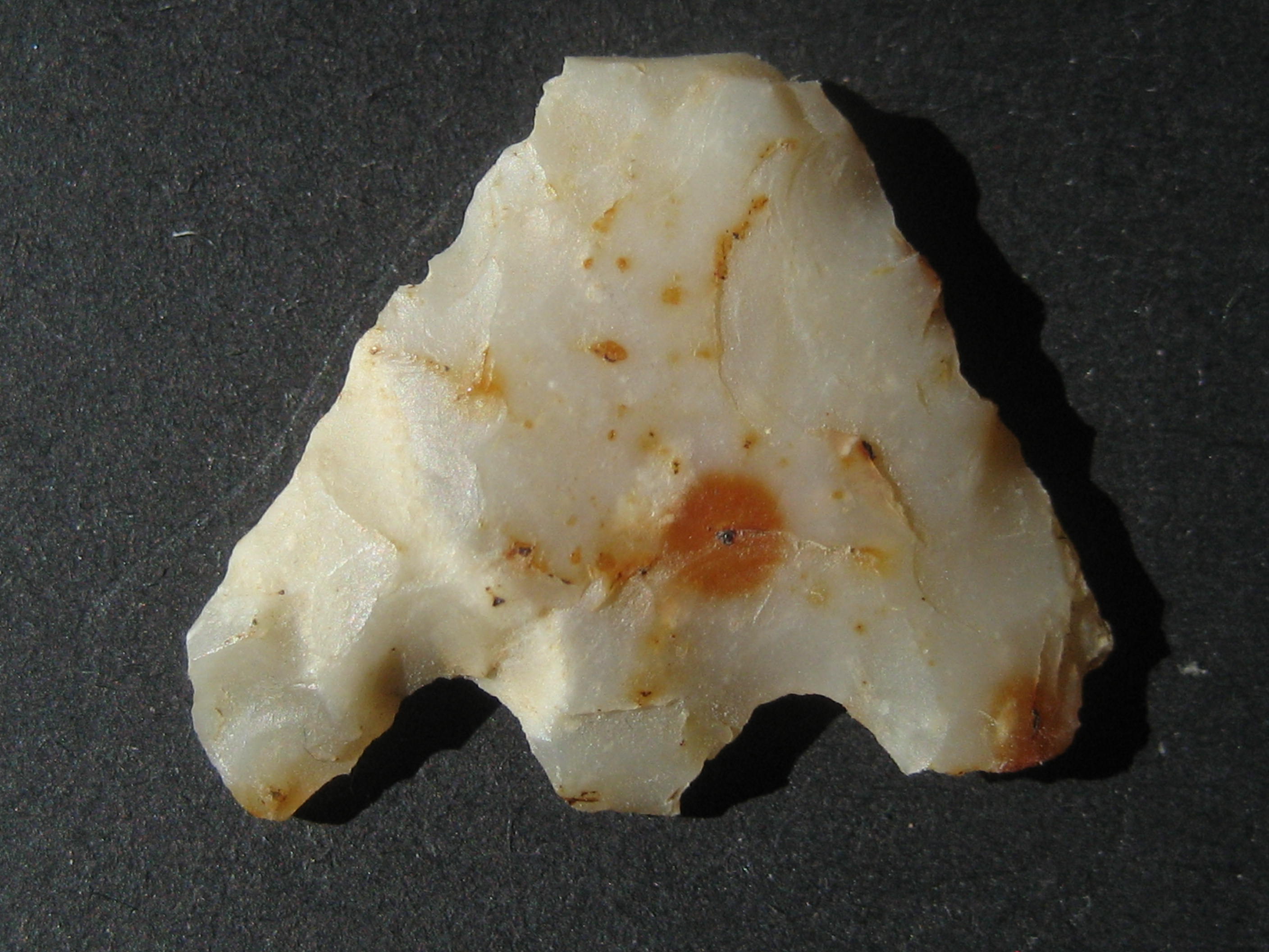 (2)pointe de flèche Néo.JPG