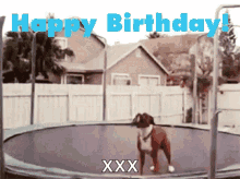 funny-animals-happy-birthday.gif